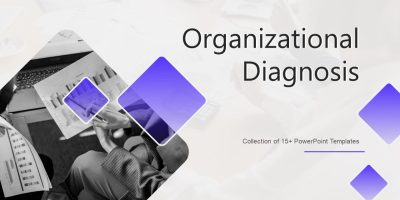 Organisational Diagnostics & Research